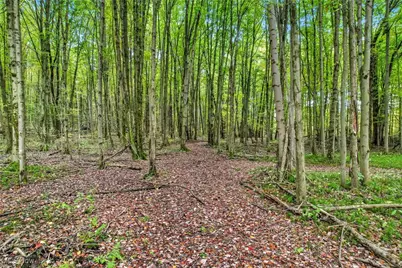 6174 US Route 6, Pierpont, OH 44082 - Photo 36