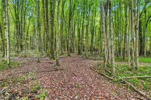 6174 US Route 6, Pierpont, OH 44082 - Photo 36