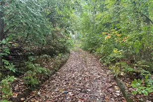 737 Vernon Odom Blvd, Akron, OH 44307 - Photo 8