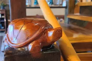 2709 Cr 11, Dillonvale, OH 43917 - Photo 20