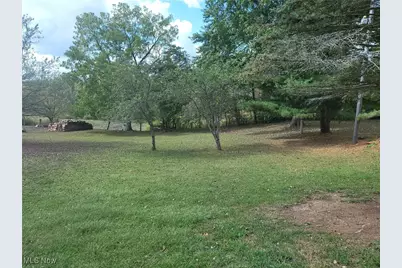 60490 Main Street, Jacobsburg, OH 43933 - Photo 34