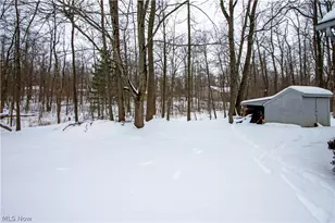 1405 Laurel Dr, West Salem, OH 44287 - Photo 48