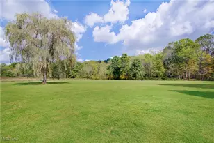 14015 Stimmel St NE, Paris, OH 44669 - Photo 46