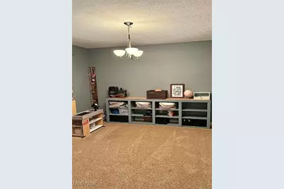25966 Pump Station Road, Summerfield, OH 43788 - Photo 10
