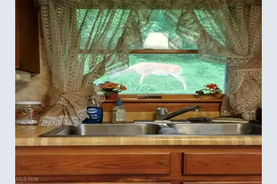 3927 Daisyview Street, Shadyside, OH 43947 - Photo 20