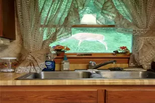 3927 Daisyview St, Shadyside, OH 43947 - Photo 20