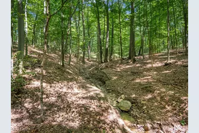 686 County Road 1302, Ashland, OH 44805 - Photo 50