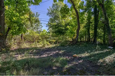 3405 E 117, Loveland, OH 44120 - Photo 2