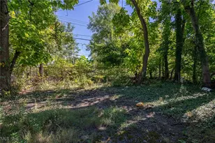 3405 E 117, Loveland, OH 44120 - Photo 2