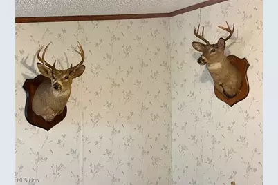 1964 County Road 58, Irondale, OH 43932 - Photo 14