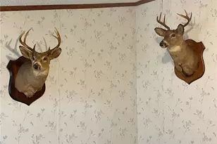 1964 Co Rd 58, Irondale, OH 43932 - Photo 14