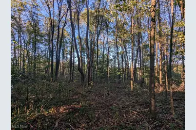 Forbes Road, Wellsville, OH 43968 - Photo 40