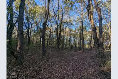 Forbes Road, Wellsville, OH 43968 - Photo 30