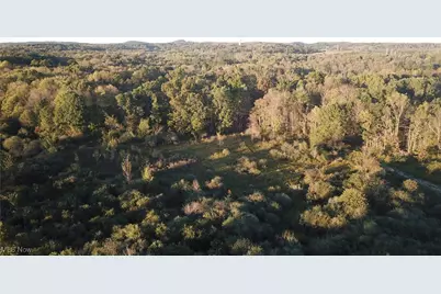 Forbes Road, Wellsville, OH 43968 - Photo 4