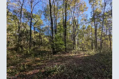 Forbes Road, Wellsville, OH 43968 - Photo 12