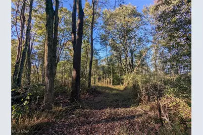 Forbes Road, Wellsville, OH 43968 - Photo 18