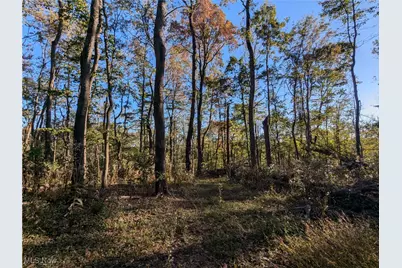 Forbes Road, Wellsville, OH 43968 - Photo 20