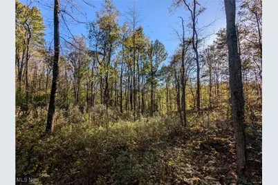 Forbes Road, Wellsville, OH 43968 - Photo 16