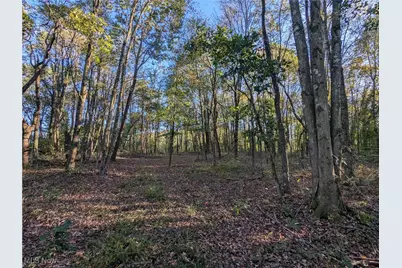 Forbes Road, Wellsville, OH 43968 - Photo 28