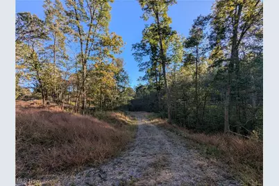 Forbes Road, Wellsville, OH 43968 - Photo 22