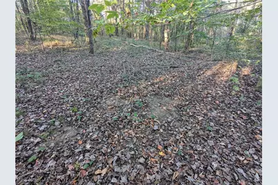 Forbes Road, Wellsville, OH 43968 - Photo 32