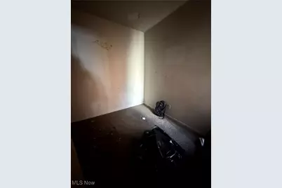 3799 E 54th Street, Loveland, OH 44105 - Photo 12