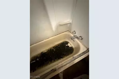 5806 Fleet Avenue, Loveland, OH 44105 - Photo 36