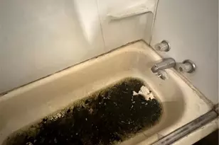 5806 Fleet Ave, Loveland, OH 44105 - Photo 36