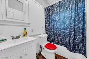 13604 Mcelhattan Ave, Loveland, OH 44110 - Photo 32