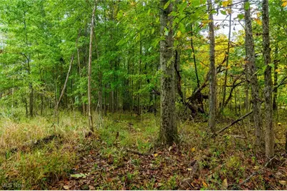 Pigeon Gap Road, Cambridge, OH 43725 - Photo 28
