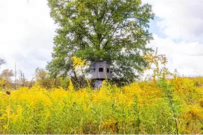Pigeon Gap Road, Cambridge, OH 43725 - Photo 4