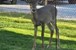 1136 Parkway Blvd, Alliance, OH 44601 - Photo 22