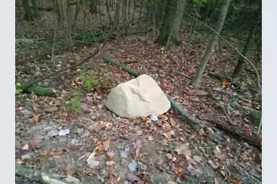 8123 Vandemark Road, Lodi, OH 44254 - Photo 8