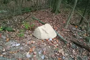 8123 Vandemark Rd, Lodi, OH 44254 - Photo 8