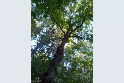 8123 Vandemark Road, Lodi, OH 44254 - Photo 10