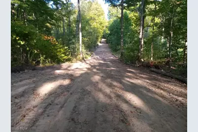 8123 Vandemark Road, Lodi, OH 44254 - Photo 2