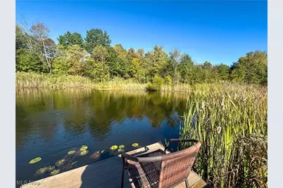 100 Cottage Grove Drive, Youngstown, OH 44505 - Photo 10