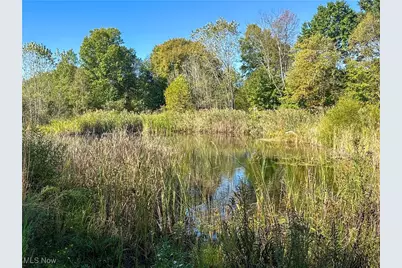 100 Cottage Grove Drive, Youngstown, OH 44505 - Photo 30