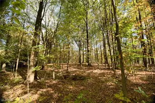 70 Crown Point, Geneva, OH 44041 - Photo 12