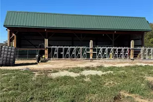 6187 Lisbon Rd, Lisbon, OH 44432 - Photo 44