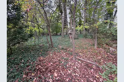 124 Wadsworth Street, Canfield, OH 44406 - Photo 24