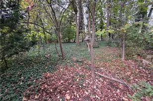 124 Wadsworth St, Canfield, OH 44406 - Photo 24