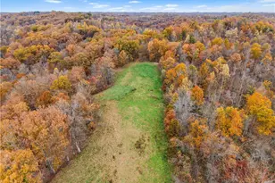 814 Wells Run Rd, Crown City, OH 45623 - Photo 26