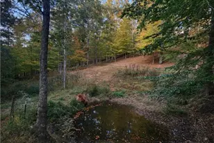 814 Wells Run Rd, Crown City, OH 45623 - Photo 24