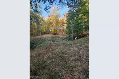 814 Wells Run Road, Crown City, OH 45623 - Photo 22