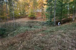 814 Wells Run Rd, Crown City, OH 45623 - Photo 22