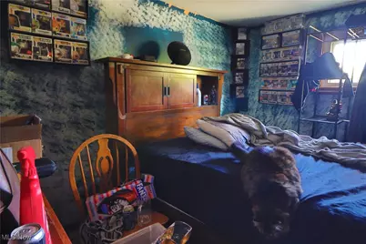 1550 E 337 Street, Eastlake, OH 44095 - Photo 12