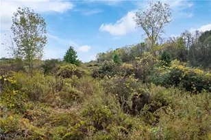 2754 Millersburg Rd, Wooster, OH 44691 - Photo 1