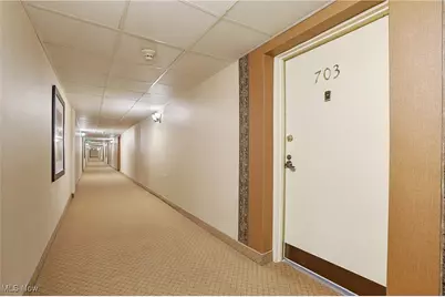 10301 Lake Avenue #703, Loveland, OH 44102 - Photo 12