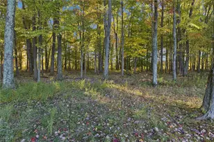 3203 Merchants Ave, Ashtabula, OH 44004 - Photo 48